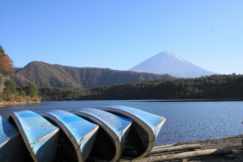 DSC01244.JPG
