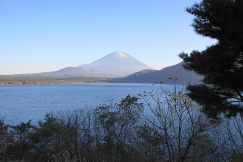 DSC01252.JPG