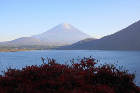 DSC01265.JPG