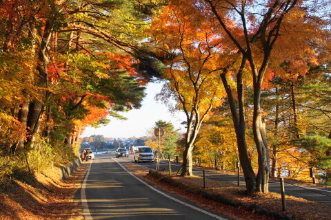 DSC01276.JPG