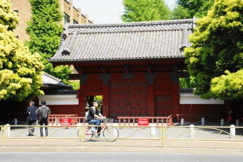 DSC01295.JPG