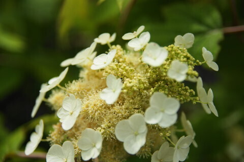 DSC01303.JPG