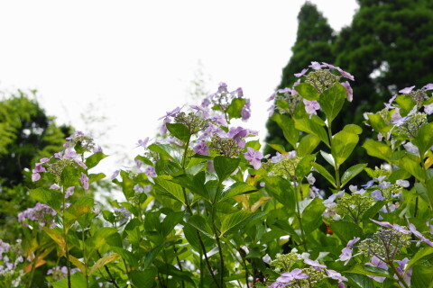 DSC01311.JPG