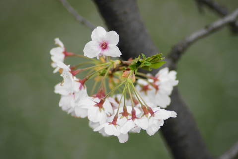 DSC01351.jpg