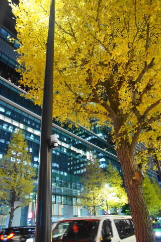 DSC01366.JPG