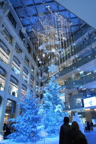 DSC01370.JPG