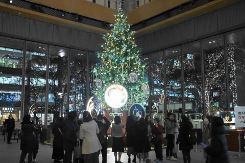 DSC01377.JPG