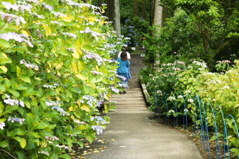 DSC01389.JPG