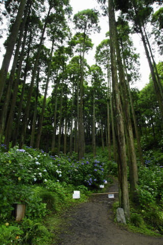 DSC01397.JPG