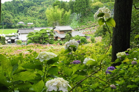 DSC01399.JPG