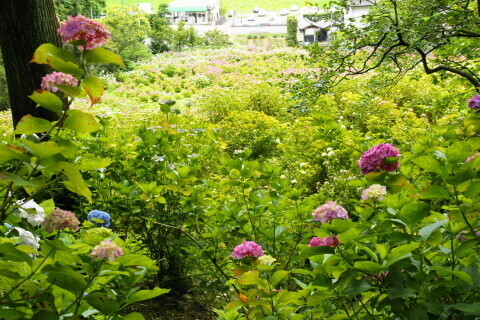 DSC01405.JPG