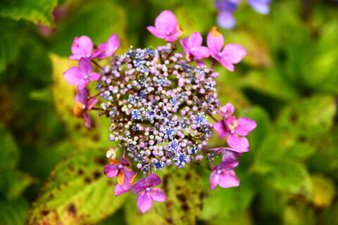 DSC01413.JPG