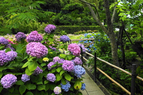 DSC01417.JPG