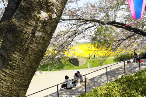 DSC01417.jpg