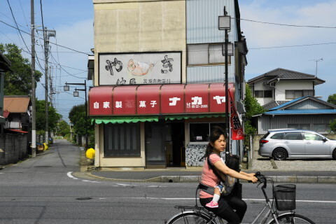 DSC01442.JPG