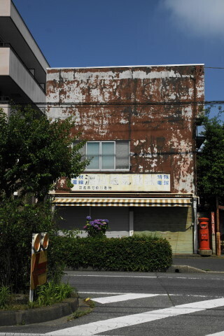 DSC01447.JPG