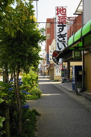 DSC01449.JPG