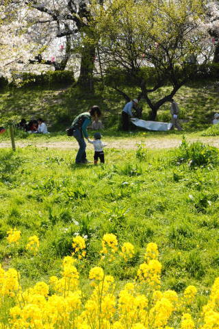DSC01457.jpg