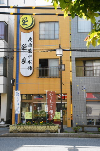 DSC01458.JPG