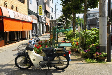 DSC01459.JPG