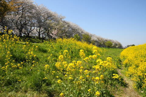 DSC01461.jpg