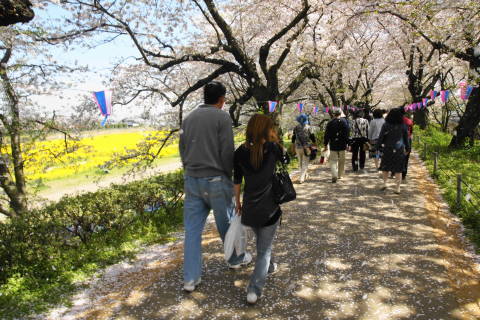 DSC01469.jpg
