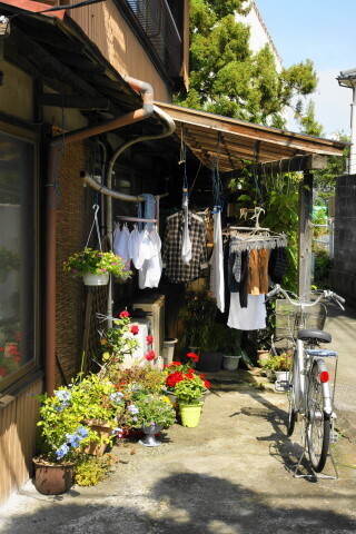 DSC01481.JPG