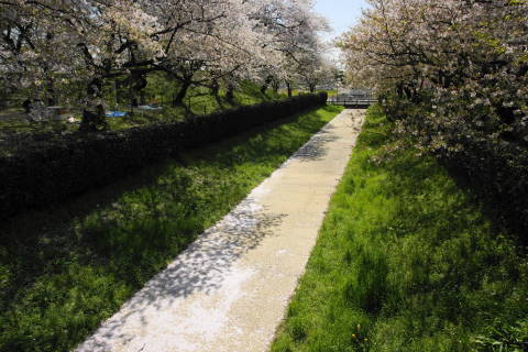 DSC01520.jpg