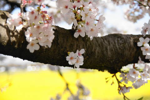 DSC01522.jpg