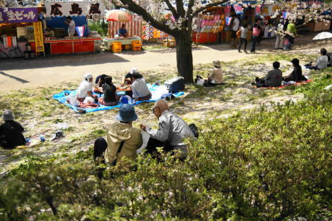 DSC01531.jpg
