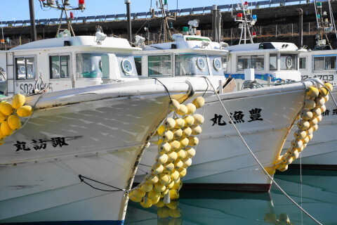 DSC01597-c6547.jfif