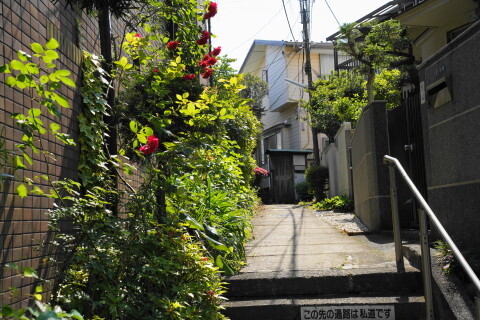 DSC01633.JPG
