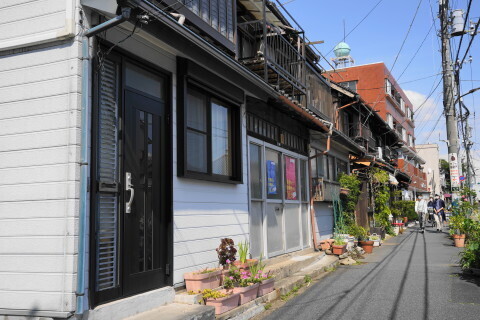 DSC01656.JPG