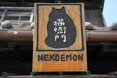 DSC01660.JPG