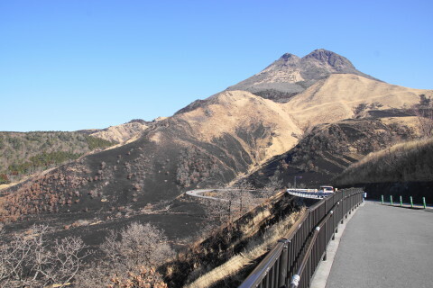 DSC01747.JPG