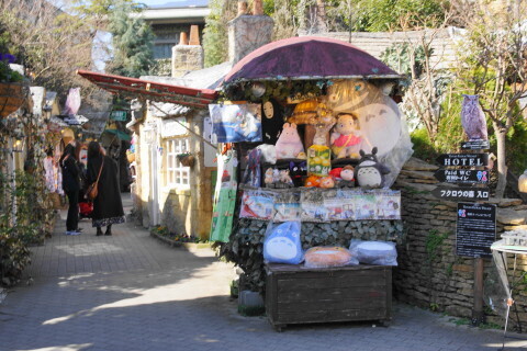 DSC01755.JPG