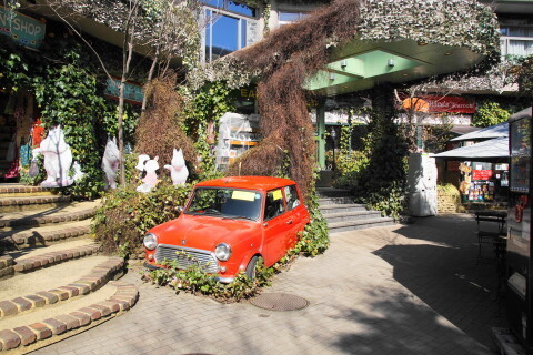 DSC01760.JPG