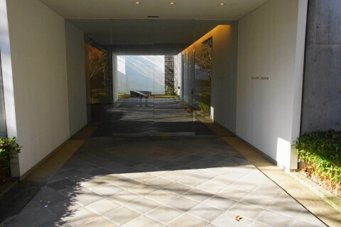 DSC01797.JPG