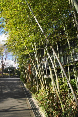 DSC01804.JPG