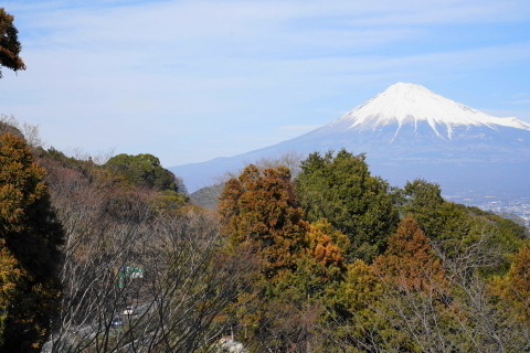 DSC01825.JPG