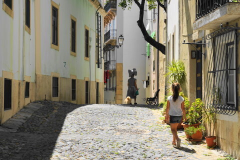 DSC01958.JPG