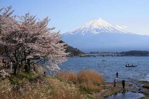 DSC02008.JPG