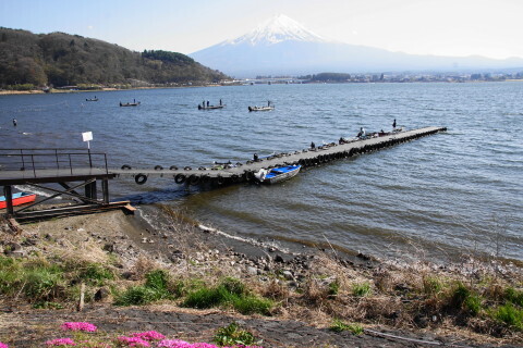DSC02012.JPG