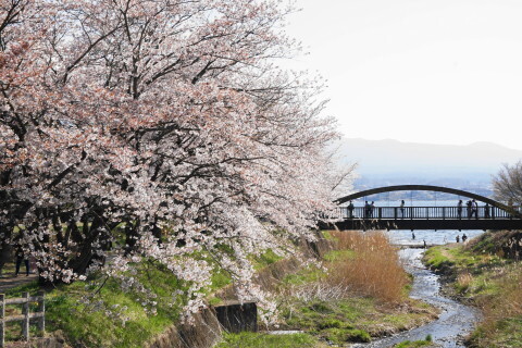 DSC02013.JPG