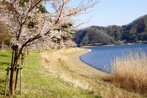 DSC02022.JPG