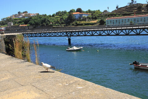 DSC02115.JPG