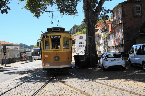 DSC02134.JPG