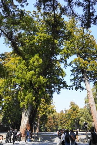 DSC02233.JPG