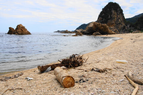DSC02677.JPG