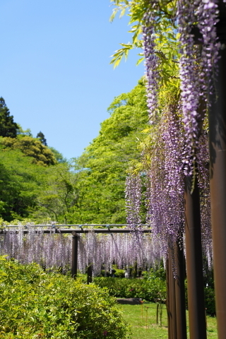 DSC02703-d6257.jpg